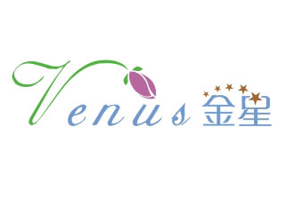 招智江的中文名稱：金星----英文名稱：Venuslogo設(shè)計(jì)