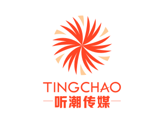 張雄的聽(tīng)潮傳媒logo設(shè)計(jì)