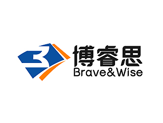 秦曉東的Brave&Wise博睿思咨詢公司logologo設(shè)計(jì)