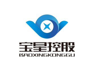 孫金澤的寶星控股有限公司logo設計