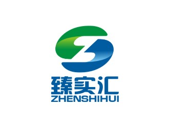 曾翼的臻實匯logo設計