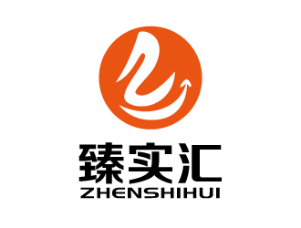 張俊的臻實匯logo設(shè)計