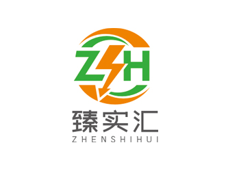 趙鵬的臻實匯logo設(shè)計