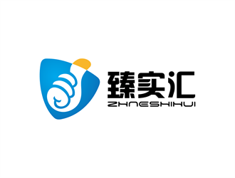 安冬的臻實匯logo設(shè)計