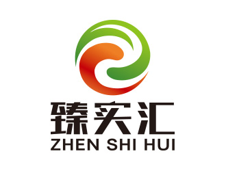 向正軍的臻實匯logo設(shè)計