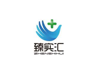 孫金澤的臻實匯logo設(shè)計