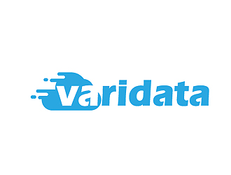 秦曉東的varidata英文標志設計logo設計