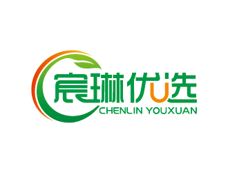 王濤的宸琳優(yōu)選logo設(shè)計