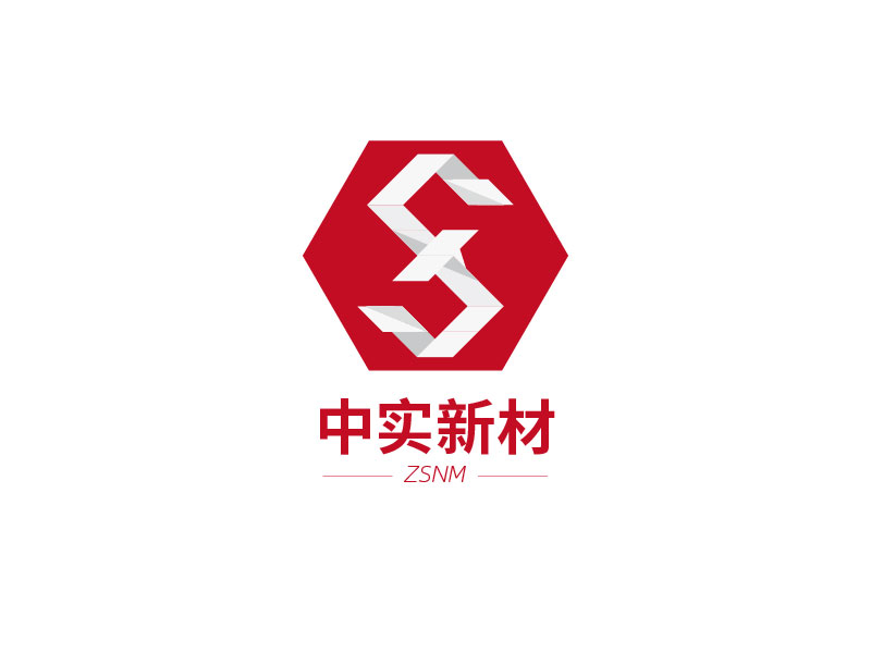 楊琴的ZSNM/中實新材/中實新材（北京）科技有限公司logo設計