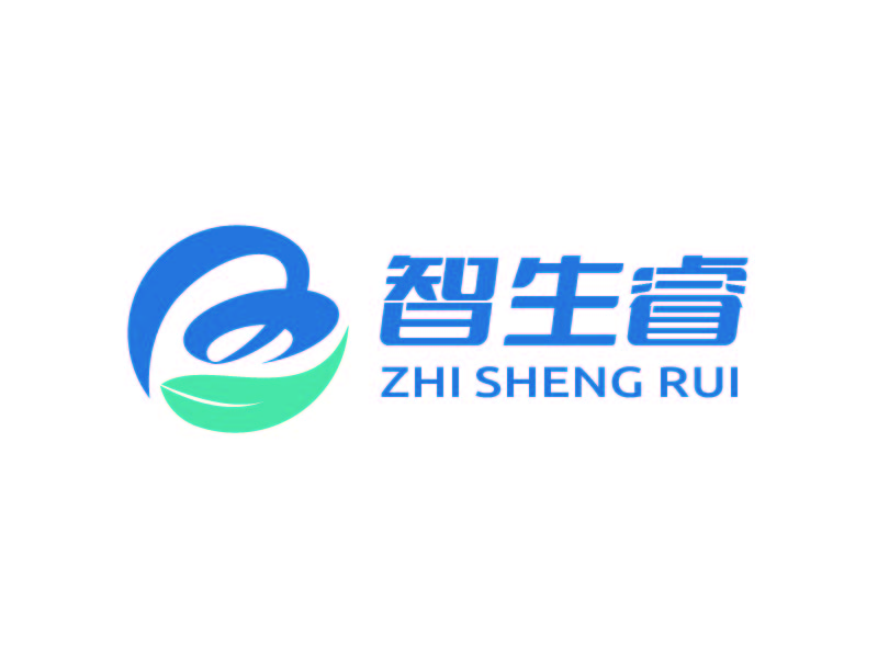 魏娟的智生睿logo設(shè)計