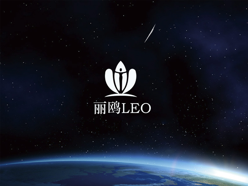 秦光華的麗鷗logo設計