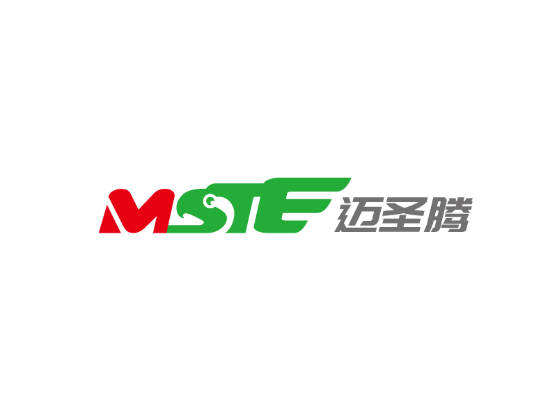 張俊的MSTE 邁圣騰logo設(shè)計