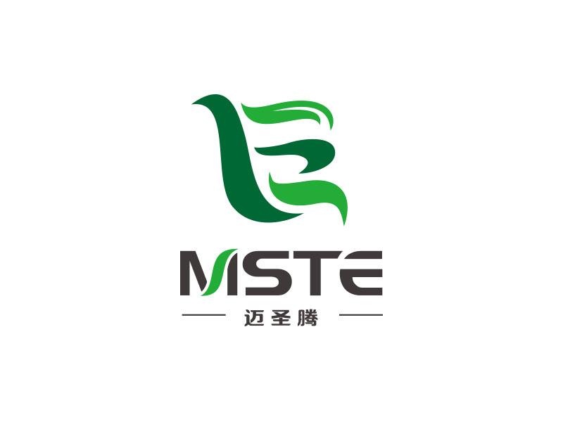 朱紅娟的MSTE 邁圣騰logo設(shè)計