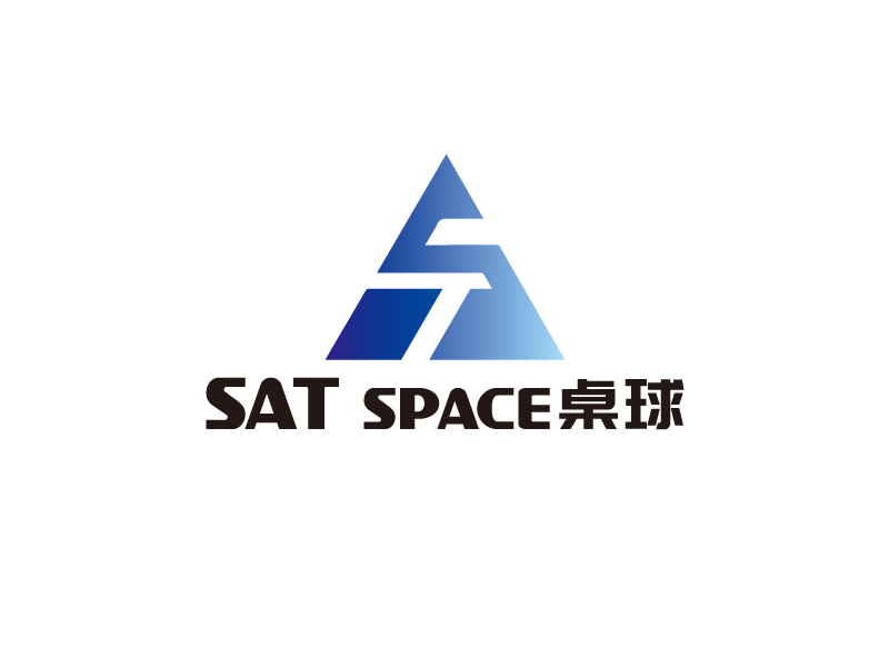 宋從堯的SAT  space  桌球logo設計